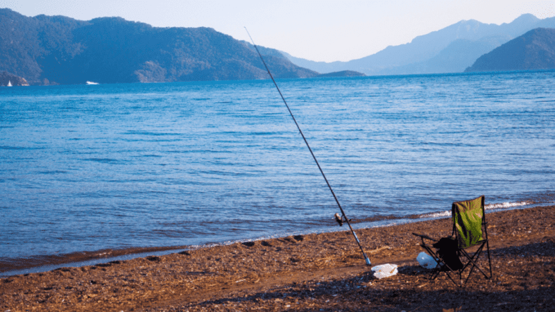 How Often Should You Change Fishing Line