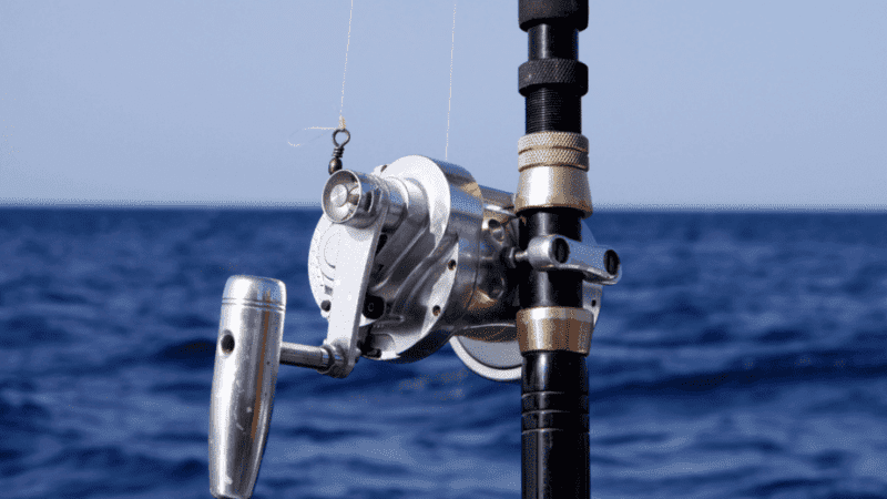 How To Clean And Lubricate A Fishing Reel